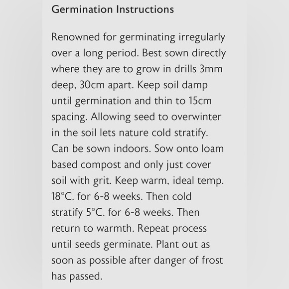 🪷64 Money ‘Silver Dollar’ Luck Lunaria Plant Seeds, Non-GMO Heirloom🪷 - Picture 12 of 14